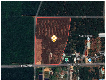 Bán đất 2325m² 8.5 tỷ tại Xã Bình An Huyện Long Thành