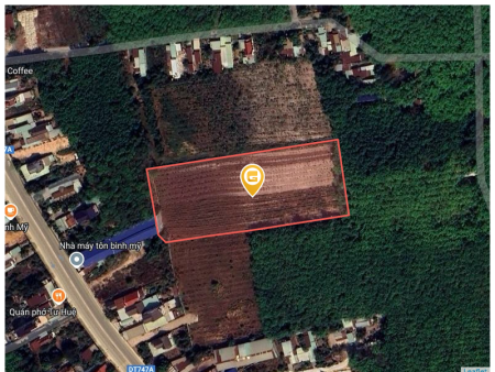 Bán đất 12950.7m² 12 tỷ tại Xã Bình Mỹ Huyện Bắc Tân Uyên ( tp hcm )