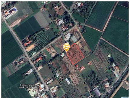 Bán đất 2731.4m² ngang 44m giá 2.17 tỷ tại Xã Mỹ Thạnh Đông Huyện Đức Huệ