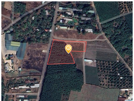 Bán đất 3700m² 7.7 tỷ tại Xã Đông Hoà Huyện Trảng Bom