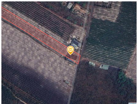 Bán đất 250m² giá 290 triệu Xã Minh Thạnh