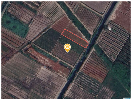 ĐẤT NÔNG NGHIỆP 2200m² NGANG 22m – MẶT TIỀN KÊNH HỘI ĐỒNG, XÃ BÌNH LỢI – BÌNH CHÁNH