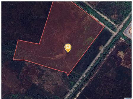 Bán đất 12000m² ngang 120m giá 45 tỷ Xã Hậu Nghĩa, cạnh Vinhomes Tân Mỹ, Sở thú Mỹ Quỳnh Safari