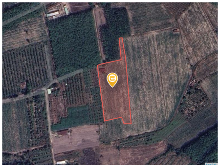 Bán đất 26000m² giá 21 tỷ Phường Bình Minh