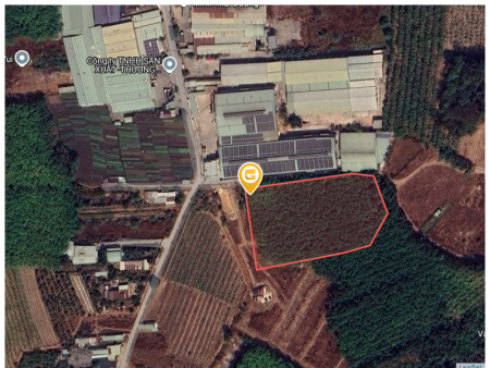 Bán đất 8789m² ngang 79m giá 33 tỷ Phường Vĩnh Tân có quy hoạch Skc có điện 3 pha, đường xe công