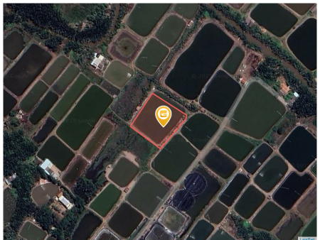 Bán đất 3640m² giá 1.64 tỷ Xã Tân Tập