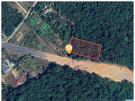 Bán đất 25000m² ngang 110m giá 15 tỷ Đặc khu Phú Quốc