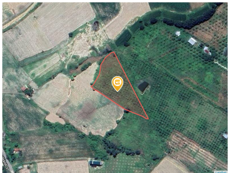 Bán đất 6297.4m² giá 1.8 tỷ Xã Tây Ninh Hòa