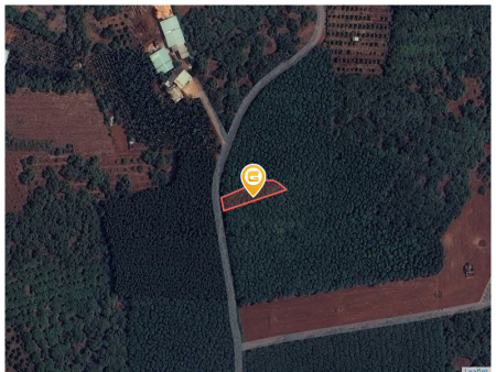 Bán đất 798.6m² giá 6.7 tỷ Phường Tân Thành