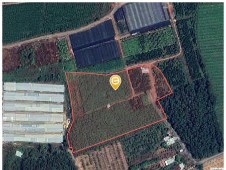 Bán đất 26590.4m² giá 42.54 tỷ Xã Thường Tân
