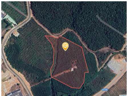 Bán đất 19138.9m² giá 28.71 tỷ Xã Thường Tân