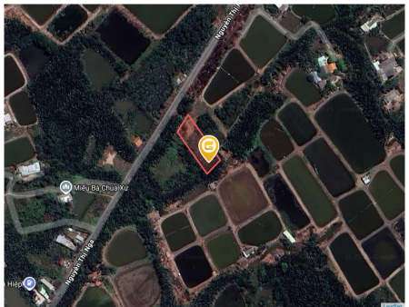 Bán đất 1329m² giá 3.99 tỷ Xã Tân Tập