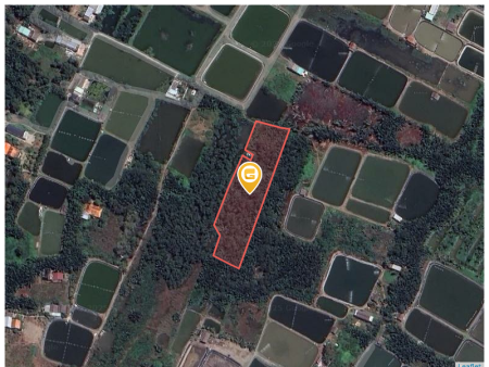 Bán đất 4850m² giá 14.56 tỷ Xã Tân Tập