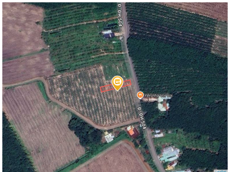 Bán đất 618.5m² Xã Phước Thành