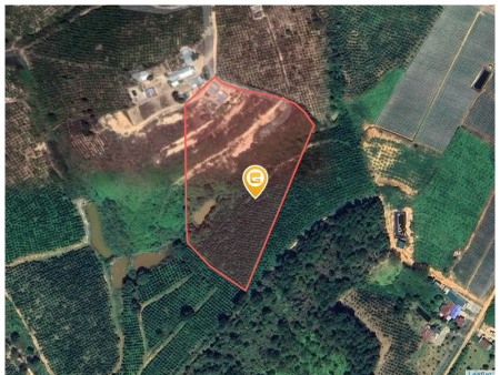 Bán đất 26000m2  giá 5.2 tỷ Xã Đức Trọng