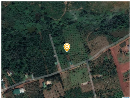 Bán đất 13000m² giá 5 tỷ Xã Đức An