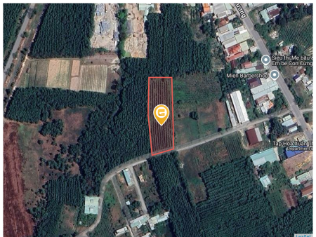 Bán đất 4350m² ngang 40m giá 25 tỷ Xã Phước An - có 1750m2 thổ cư
