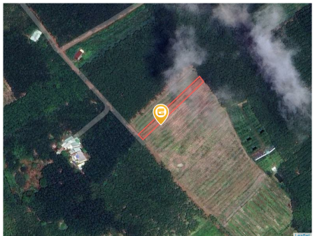 Bán đất 1248.6m² ngang 10m Xã Phước Thành