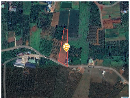 Bán đất 2911m² ngang 38m giá 9 tỷ Phường 2 Bảo Lộc