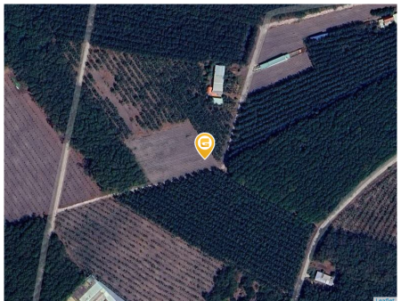 Cần bán 1.260m2 đất lên thổ cư, dân xung quanh