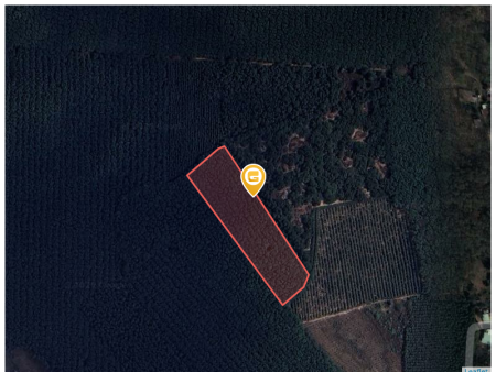 Bán đất 1000m² giá 3.6 tỷ Xã Phước Thái