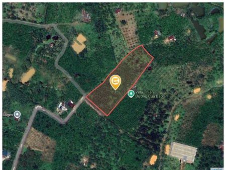 Bán đất 7687.5m² giá 4.5 tỷ Xã Bảo Lâm 2