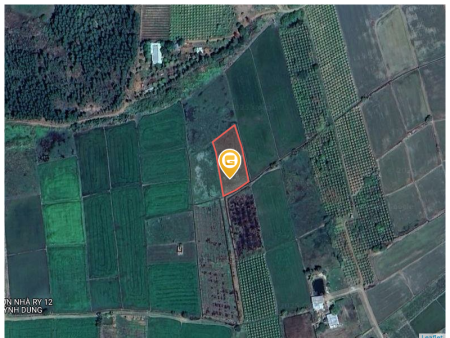 Bán đất 1638.2m² ngang 57.5m giá 850 triệu Xã Lương Sơn
