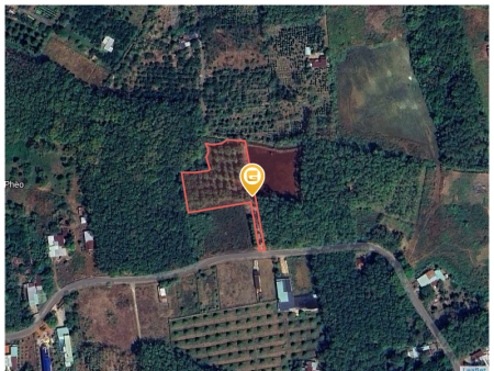 Bán đất gần 3.500m² tại Phường Bình Long, mặt tiền nhựa