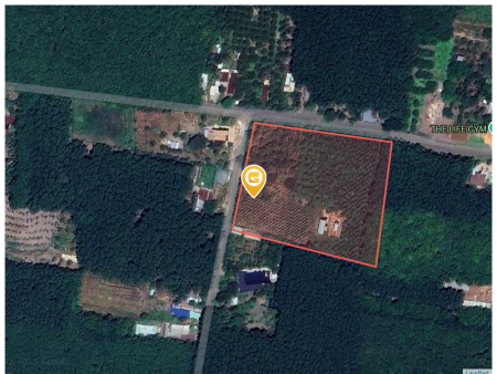 Bán đất 1675m² ngang 18m giá 320 triệu Xã Nha Bích