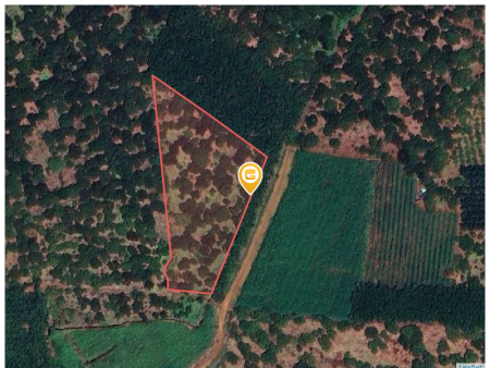 Bán đất 1000m² ngang 10m giá 200 triệu Xã Đồng Phú