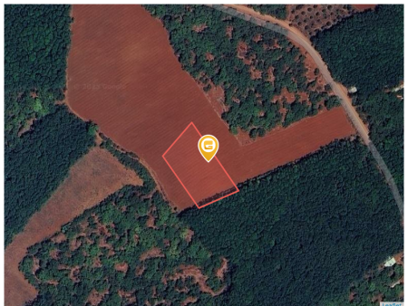 Bán đất 1016.7m² ngang 10m giá 222.22 triệu Xã Tân Lợi LH: 0833588978