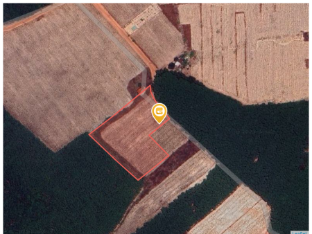 Bán đất 10000m² giá 14 tỷ Phường Bến Cát