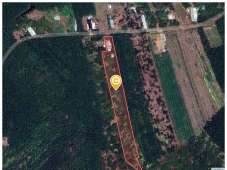 Bán đất 7157.5m² Xã Tân Lợi