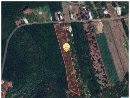 Bán đất 7726m² giá 250 triệu Xã Tân Lợi