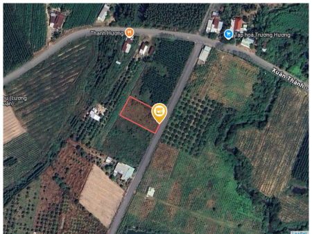 Bán đất 1911.2m² ngang 23m giá 7.5 tỷ tại Xã Xuân Thành