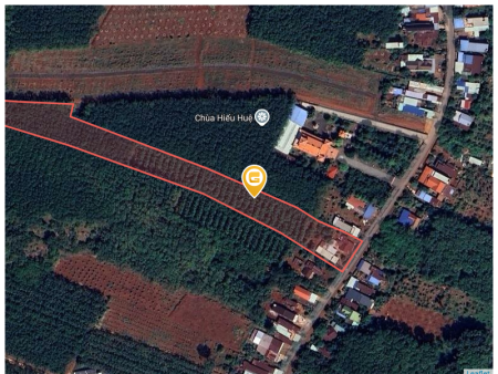 Bán đất 9698.9m² có sẵn 400m² thổ cư giá 15 tỷ tại Xã Bình Tân Phú Riềng Bình Phước thuận tiện kinh doanh