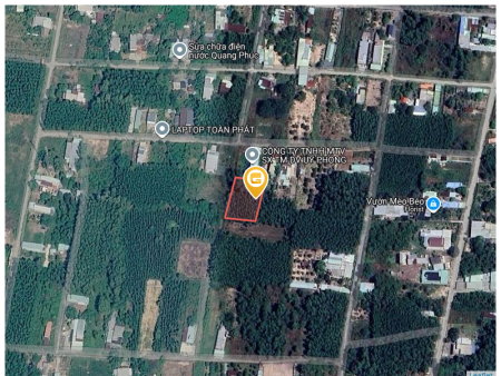 Bán đất 1100m² ngang 39m giá 4.8 tỷ tại Xã Phước An