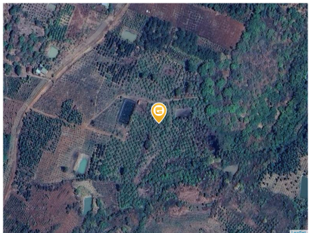 Bán đất 67000m² ngang 420m giá 16 tỷ tại Xã Đắk Mil