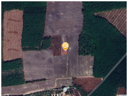 Bán đất 588.7m² ngang 18m giá 1.2 tỷ tại Xã Trừ Văn Thố