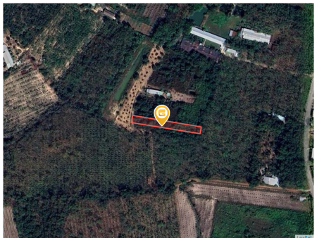 Bán đất 1078.5m² ngang 10m tại Phường Long Nguyên