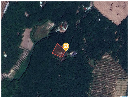Bán đất 1367.5m² có sẵn 300m² thổ cư ngang 5,2m giá 730 triệu tại Xã Phước Thành