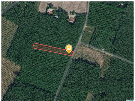 Bán đất 1365.7m² có sẵn 200m² thổ cư ngang 16,1m tại Phường Vĩnh Tân