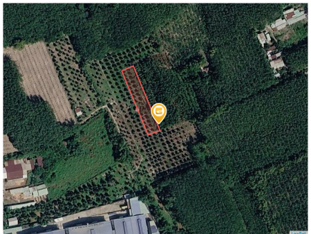 Bán đất 2002.4m² có sẵn 200m² thổ cư ngang 19,2m giá 1.26 tỷ tại Phường Bến Cát