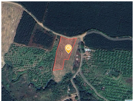 Bán đất 4932m² ngang 55m giá 1.3tỷ tại Xã Xuân Hòa