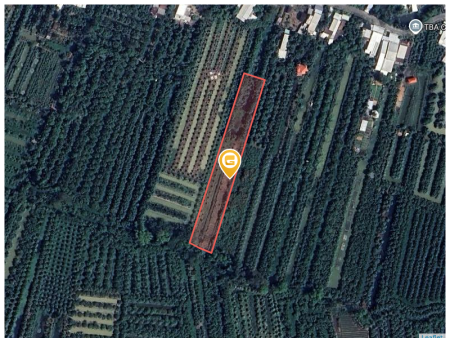 Bán đất 4446.8m² ngang 25m giá 1.8 tỷ tại Phường Cao Lãnh