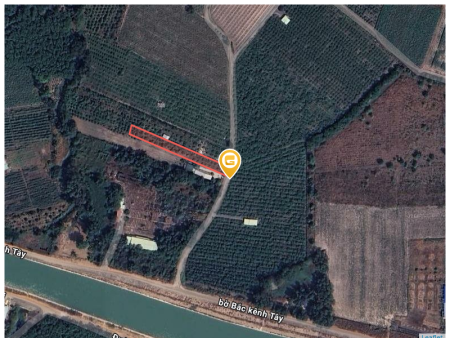 Bán đất 8000m² ngang 45m giá 2.5 tỷ tại Phường Ninh Thạnh