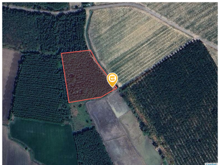 Bán đất 10000m² ngang 20m giá 680 triệu tại Xã Phước Vinh