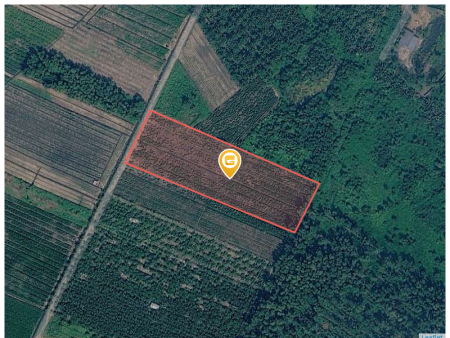 Bán đất 16000m² ngang 50m giá 39.2 tỷ tại Xã Bình Lợi