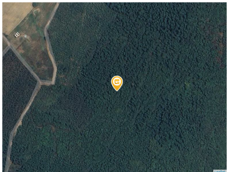 0938113403 Bán đất 440000m² ngang 200m giá 17.6 tỷ tại Xã Tân Định Z481