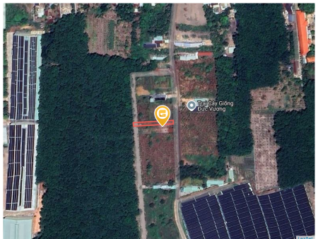 0931.783.209. Bán đất 319.8m² có sẵn 100m² thổ cư ngang 5m giá 600 triệu tại Phường Đồng Xoài